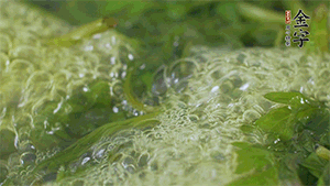 艾草葉放入煮沸的水中，加點(diǎn)食用堿，待變成深綠色時撈出，放入冰水中，瀝干備用。