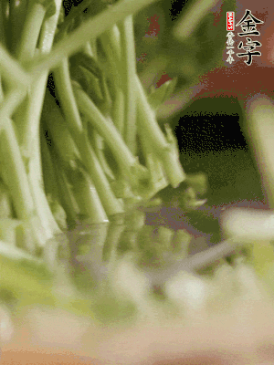 新鮮豌豆苗割下洗凈。